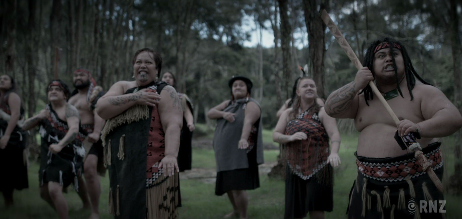 Hero image for NZ Wars - The Stories of Ruapekapeka