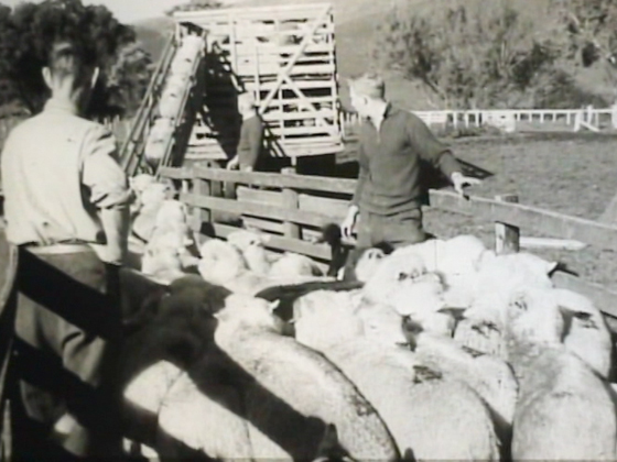 Hero image for The Valley Settlers