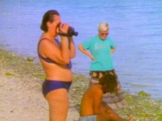 Hero image for Take in the Sun 