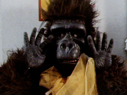 Thumbnail image for Send a Gorilla