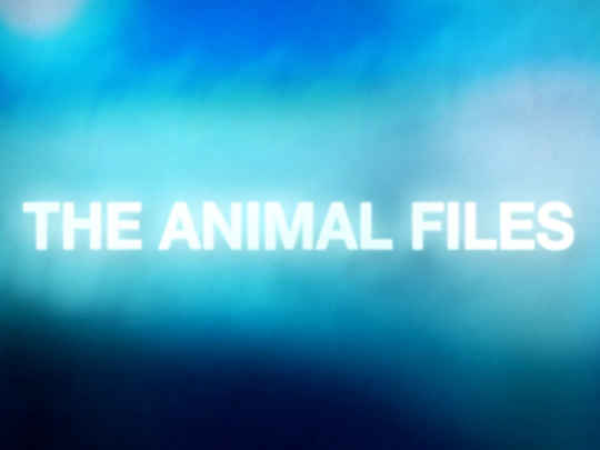 Thumbnail image for The Animal Files