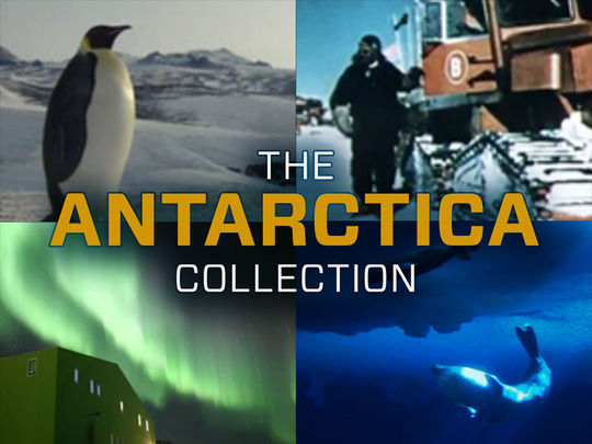 Collection image for The Antarctica Collection