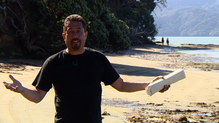 Hero image for Lost in Translation 4 - The Manukau-Kāwhia Sheet (episode four)