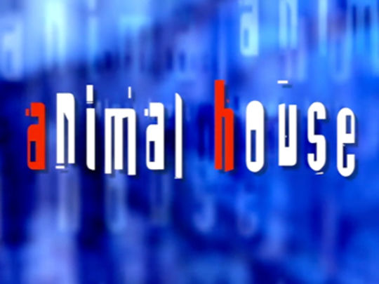 Thumbnail image for Animal House/SPCA Rescue