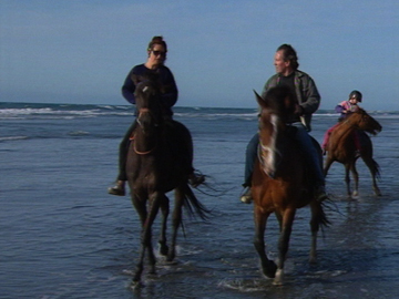 Image for Heartland - Haast