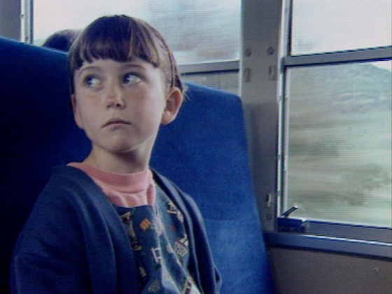 Hero image for Heartland - The Catlins