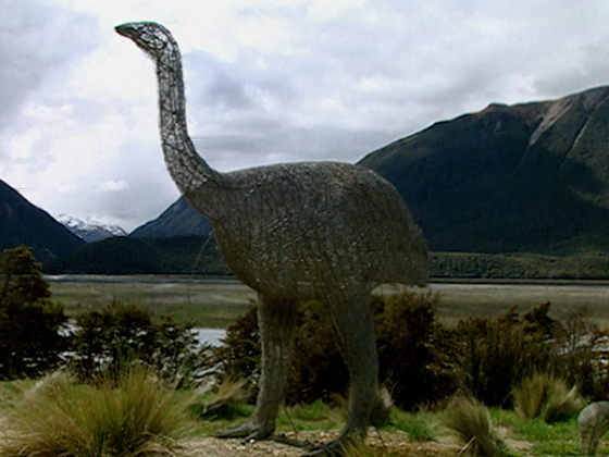 Hero image for In Search of the Moa