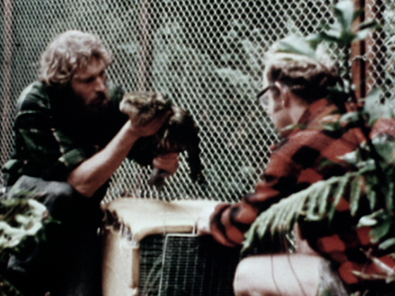 Hero image for The Edge of Extinction