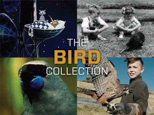 Thumbnail image for The Bird Collection