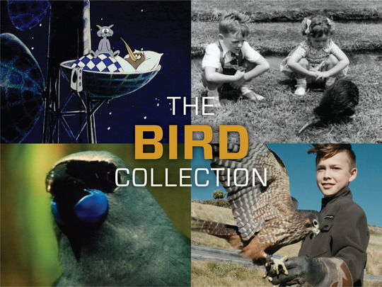 Image for The Bird Collection