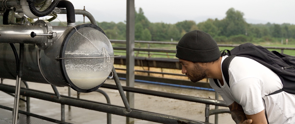 Hero image for Milked
