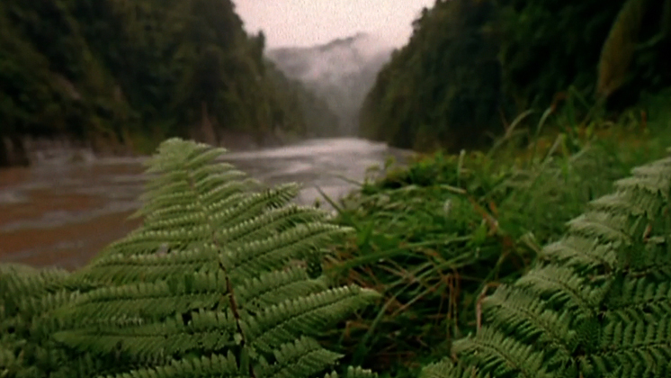 Hero image for Te Awa Tupua - Voices from the River