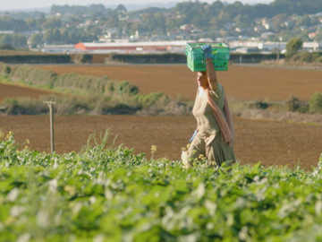 Image for Neighbourhood - Pukekohe (with Tim Lambourne)