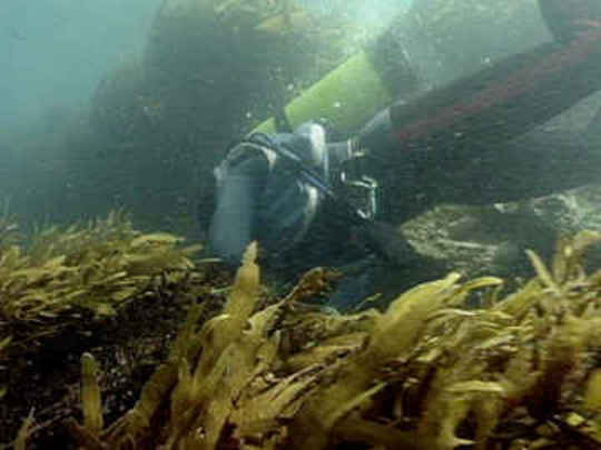 Thumbnail image for Heartland - Kennedy Bay