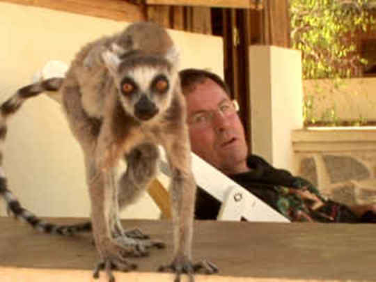 Thumbnail image for Intrepid Journeys - Madagascar (John Banks)