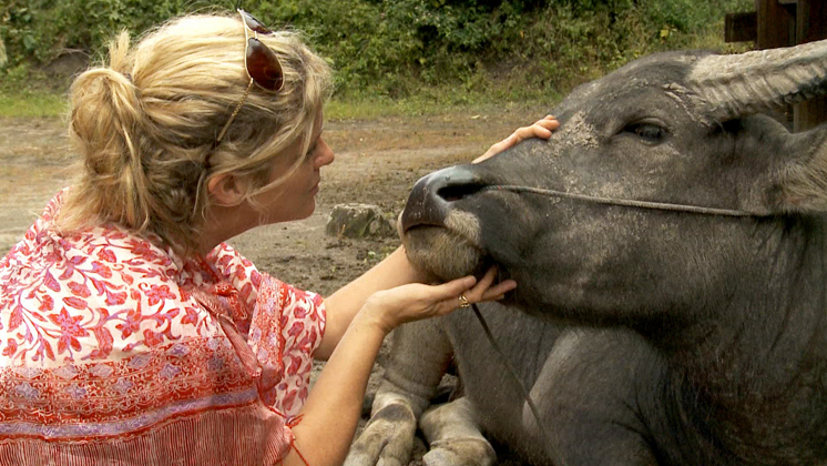 Hero image for Intrepid Journeys - Sumatra (Rachel Hunter)