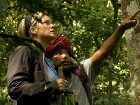 Thumbnail image for Intrepid Journeys - Sumatra (Rachel Hunter)