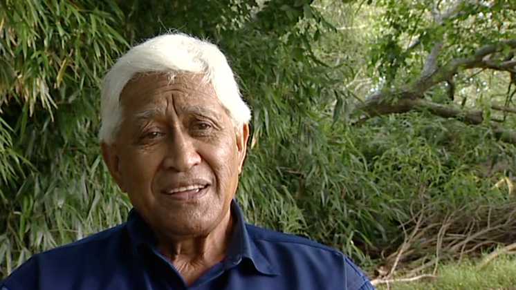 Hero image for He Oranga He Oranga - Healing Journeys