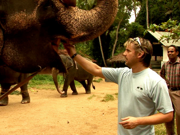 Image for Intrepid Journeys - Sri Lanka (Shane Cortese)