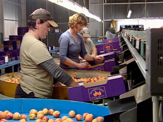Hero image for Rural Delivery - Series Four, Episode Nine