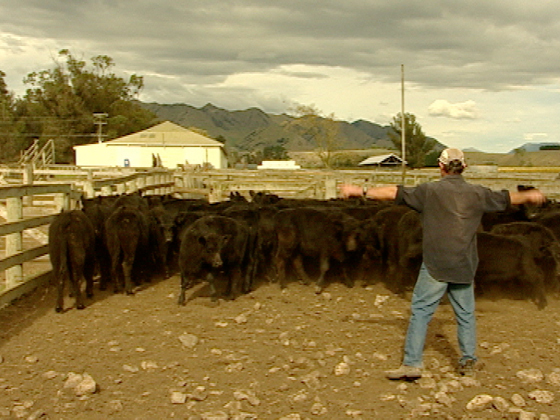 Hero image for Rural Delivery - Series Two, Episode 10