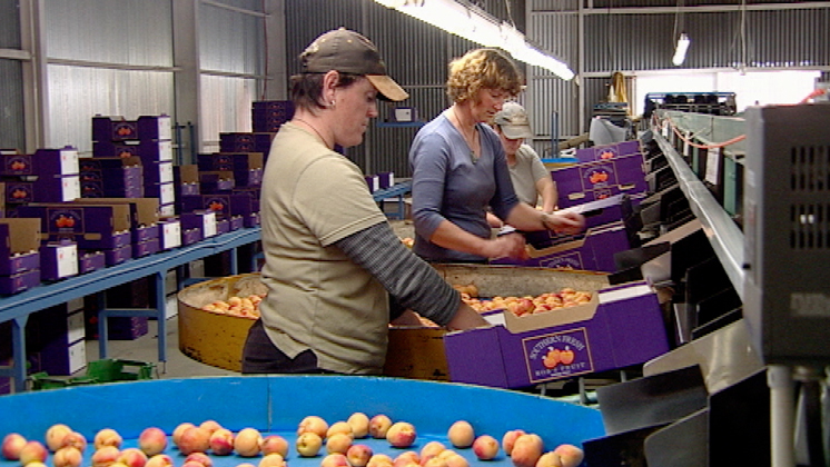 Hero image for Rural Delivery - Series Four, Episode Nine