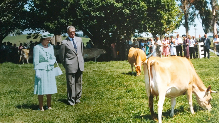 Hero image for Making New Zealand - Farming