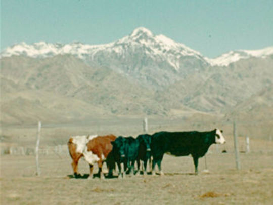 Thumbnail image for Making New Zealand - Farming