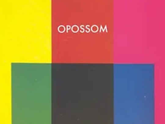 Thumbnail image for Opossom