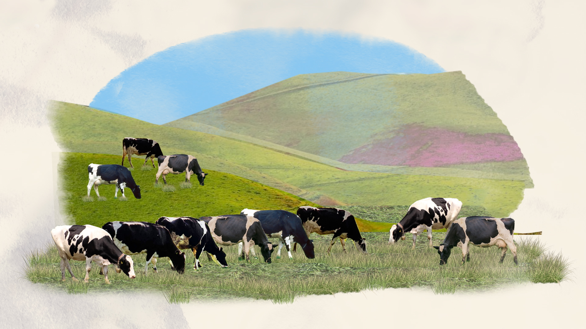 Hero image for Milk &amp; Money - Feed and Fertiliser
