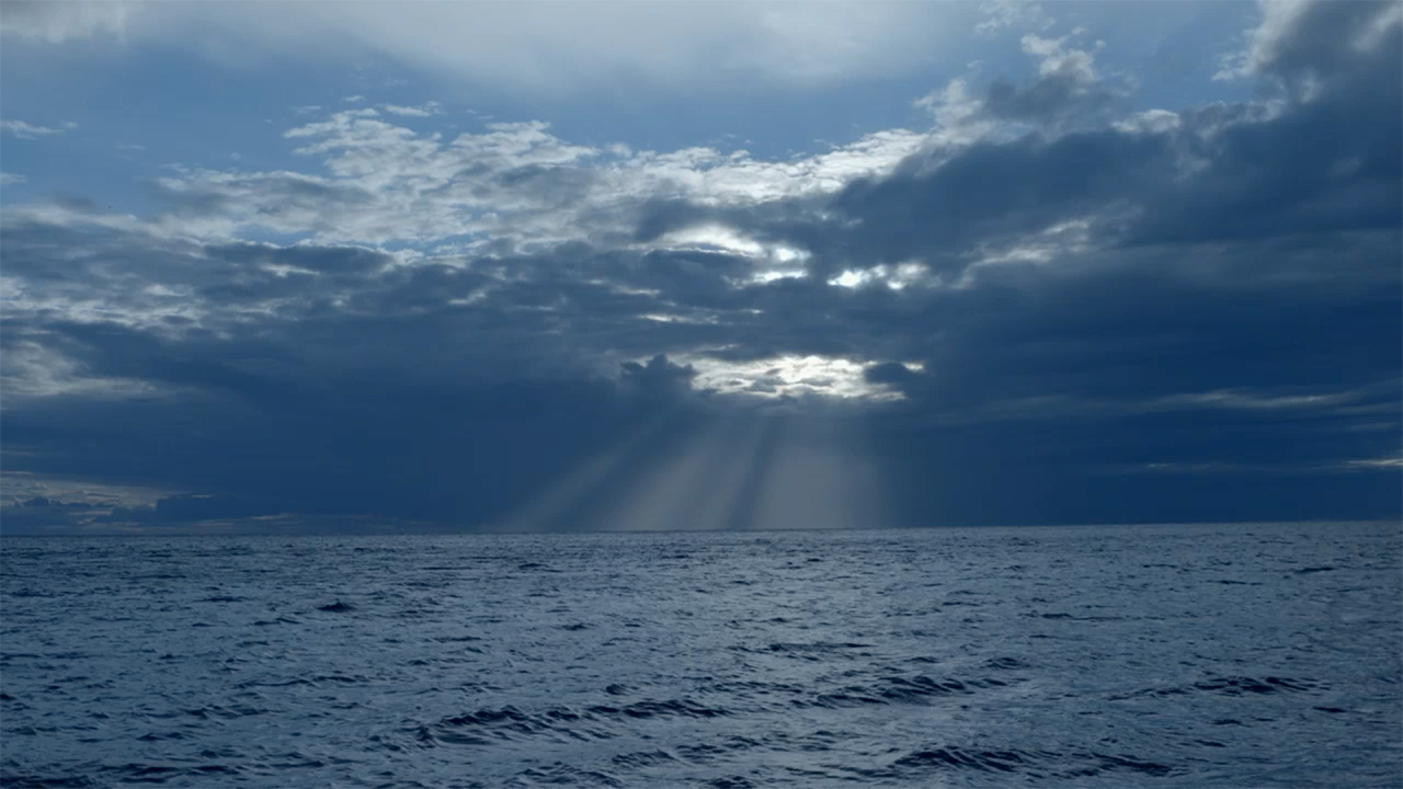 Hero image for Our Big Blue Backyard - White Island