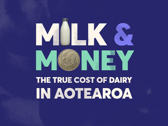 Image for Milk & Money