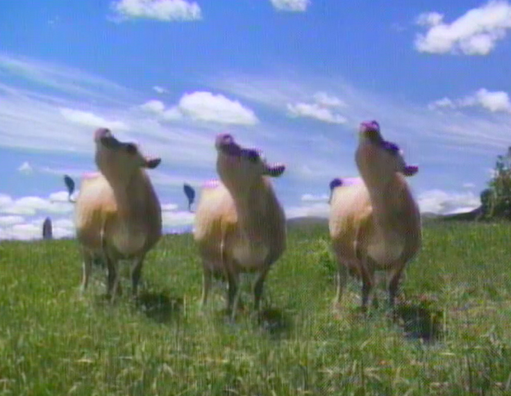 Hero image for Dancing Cows - Dairylea Cheese