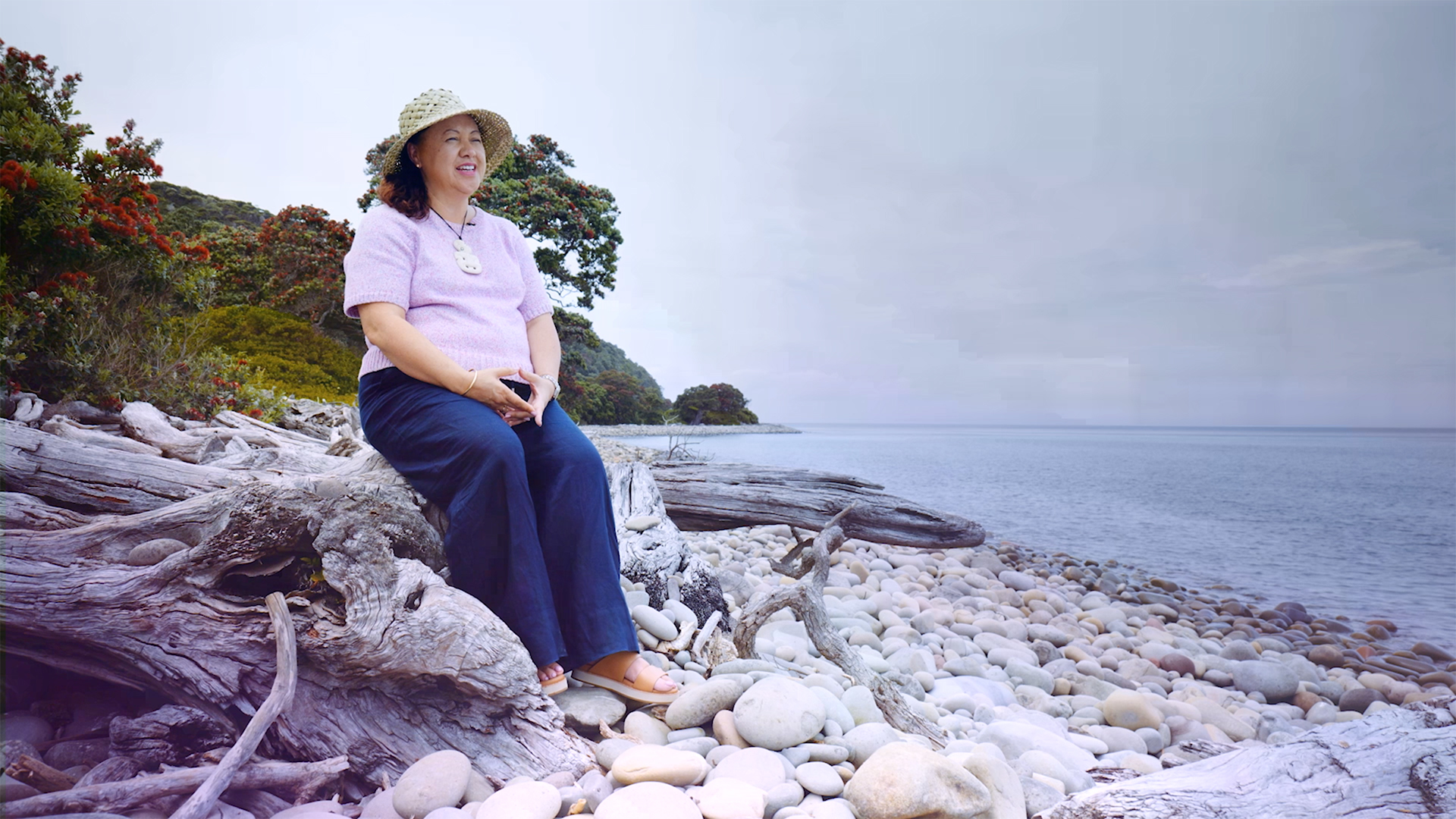 Hero image for Seasick - Saving the Hauraki Gulf