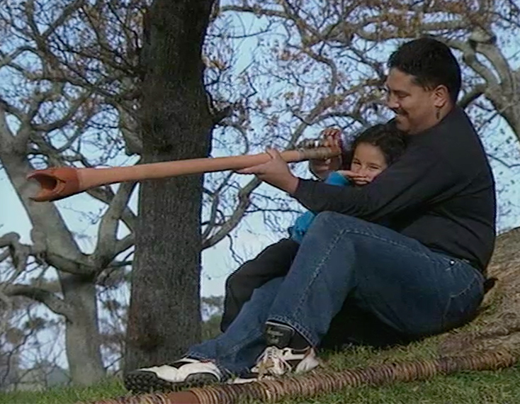Hero image for Te Pahū