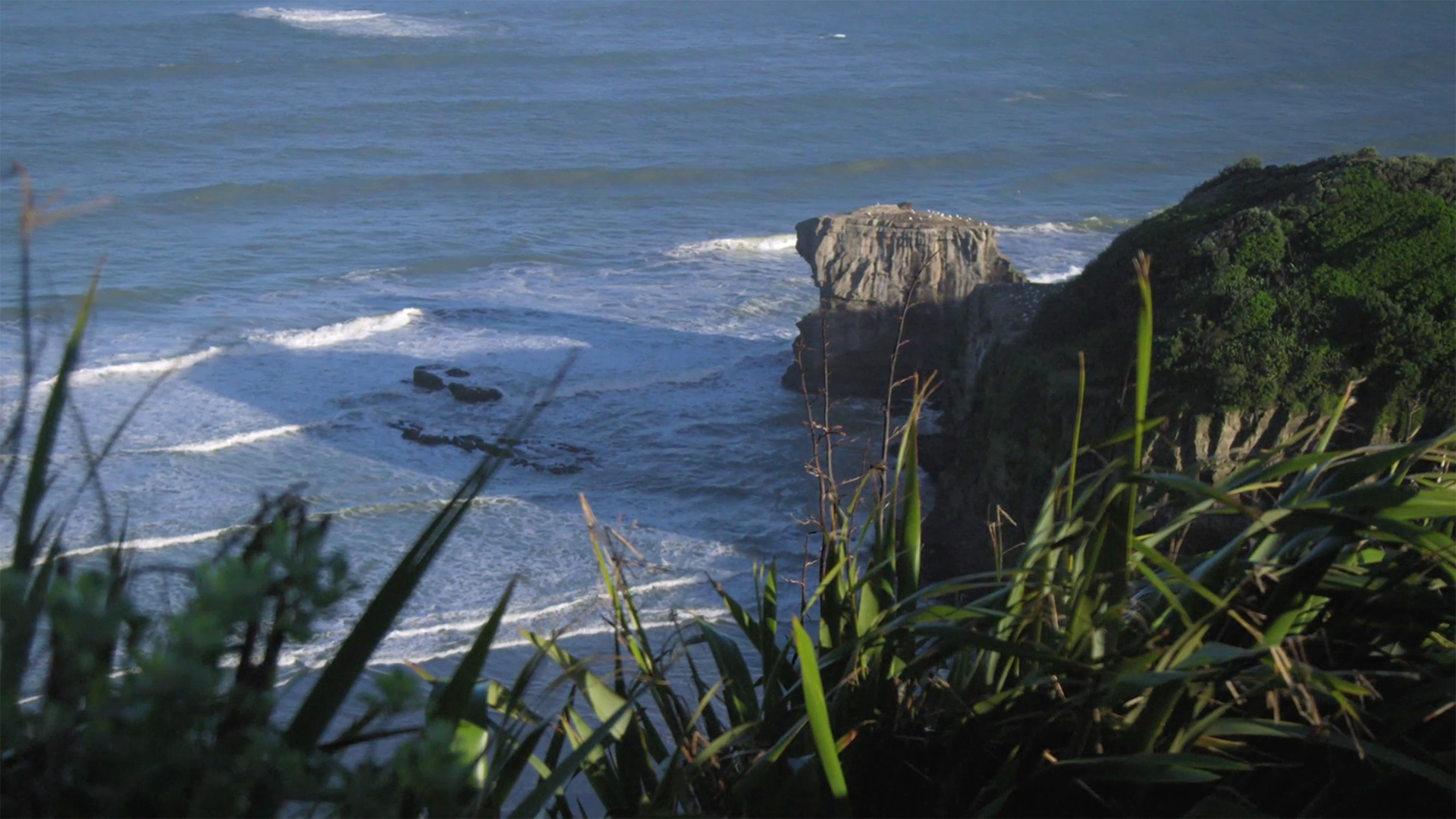 Hero image for Neighbourhood - Waimauku (with Tami Neilson)