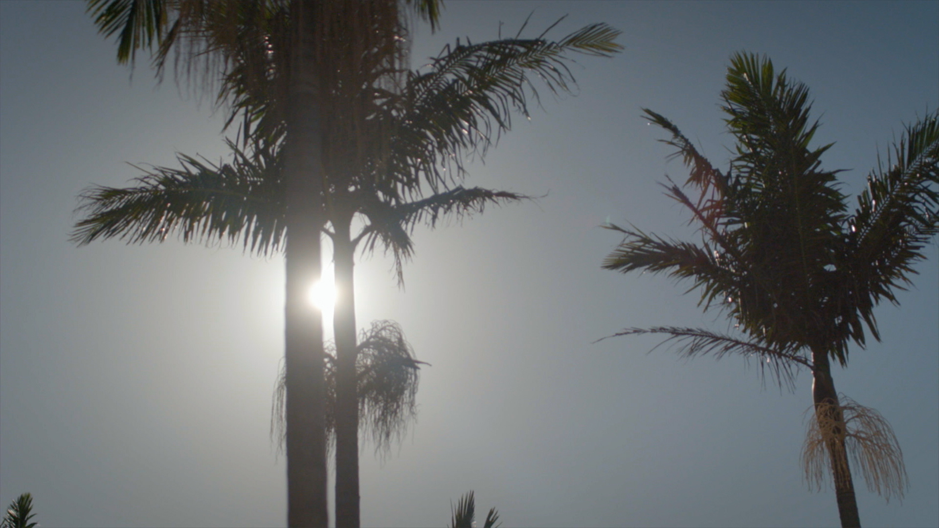 Hero image for Neighbourhood - Ōtara (with Joe Naufahu)