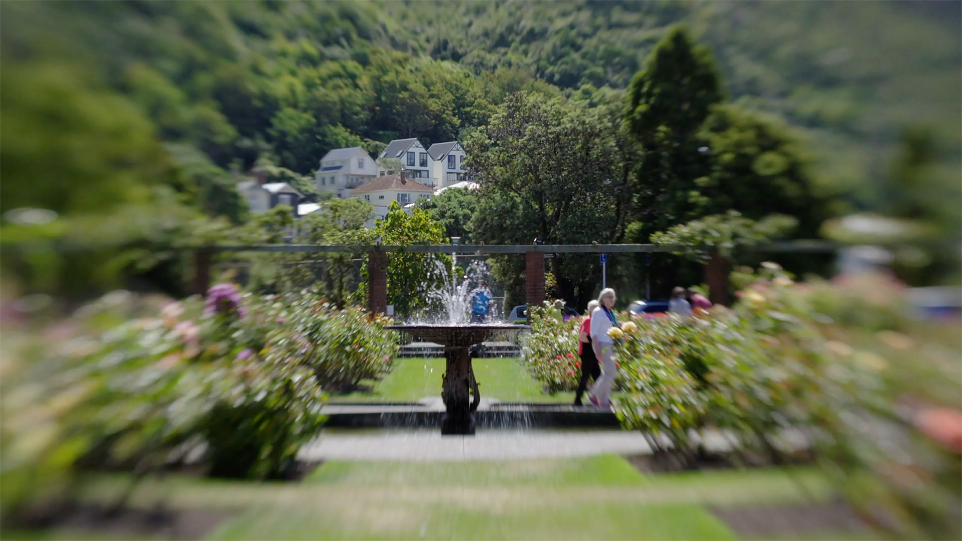 Hero image for Neighbourhood - Thorndon (with Grant Robertson)