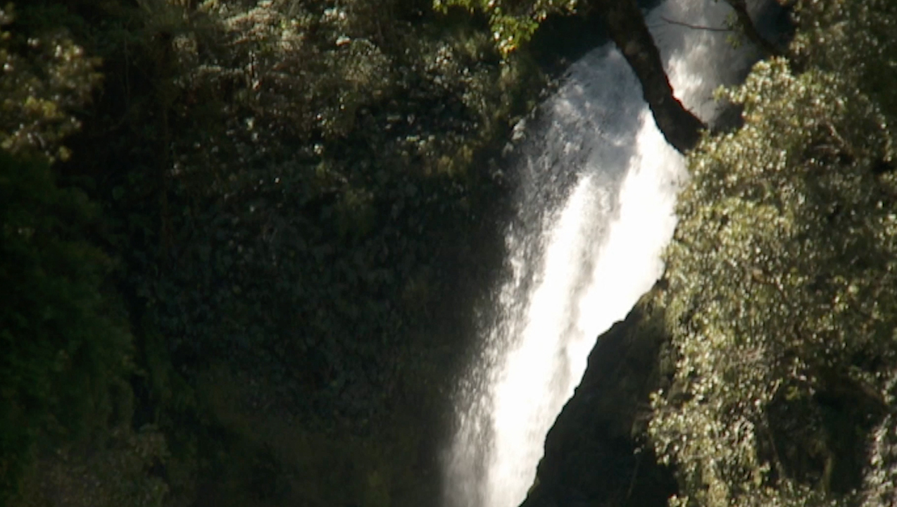 Hero image for The Waterfall
