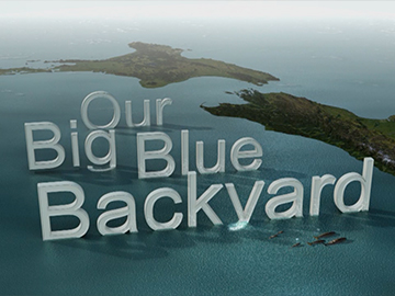 Image for Our Big Blue Backyard