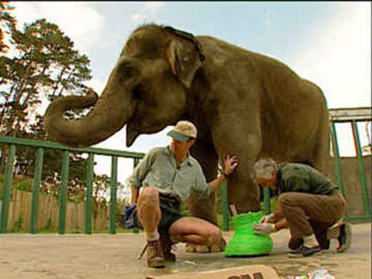 Thumbnail image for The Best of The Zoo  