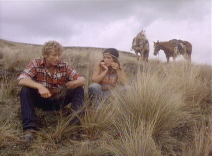 Hero image for Wild Horses