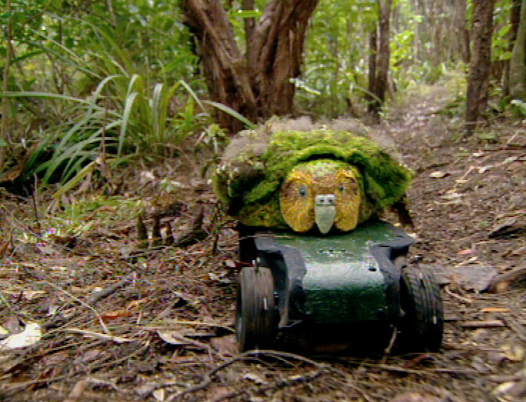 Hero image for To Save the Kākāpō