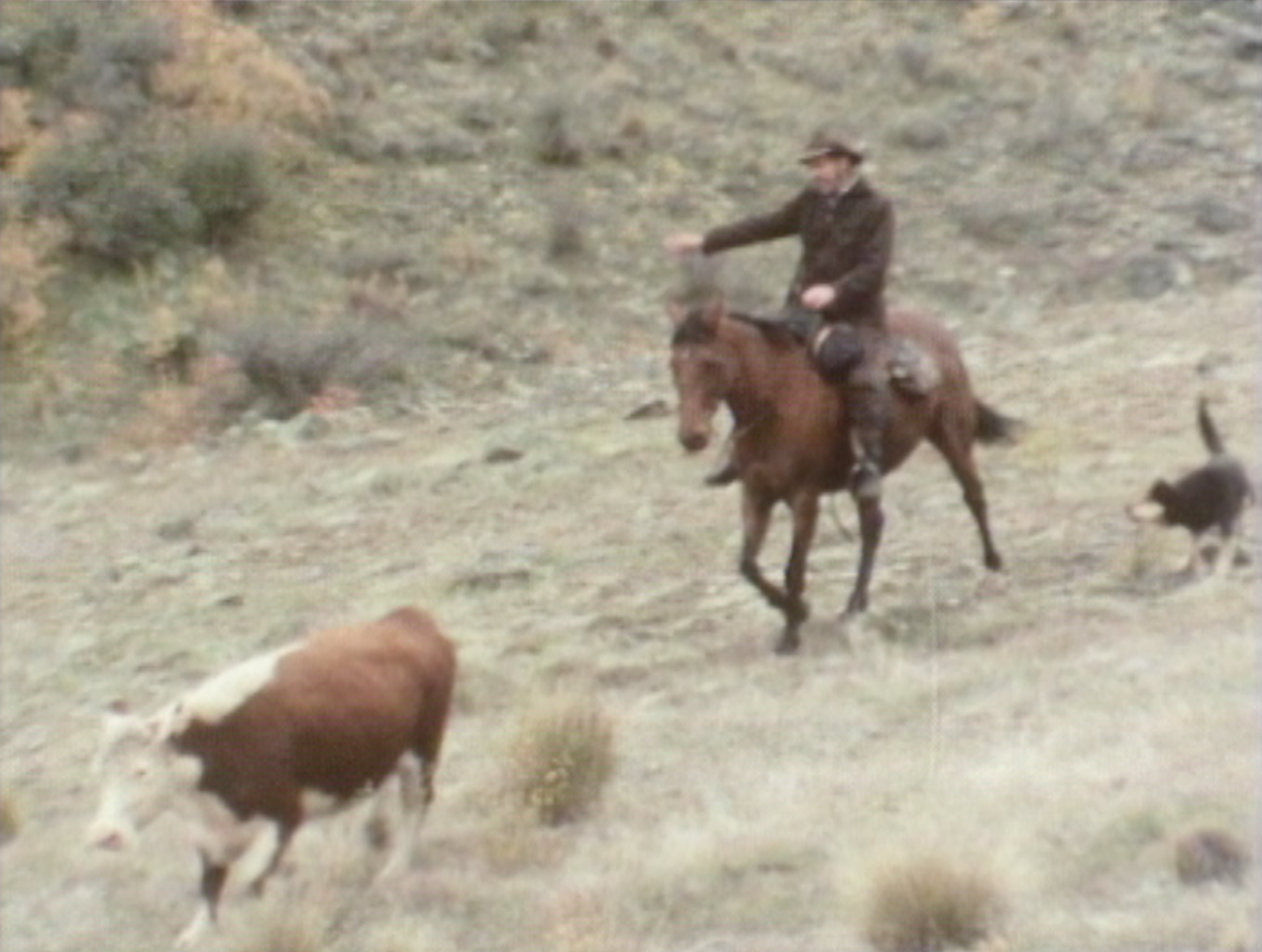 Hero image for High Country 