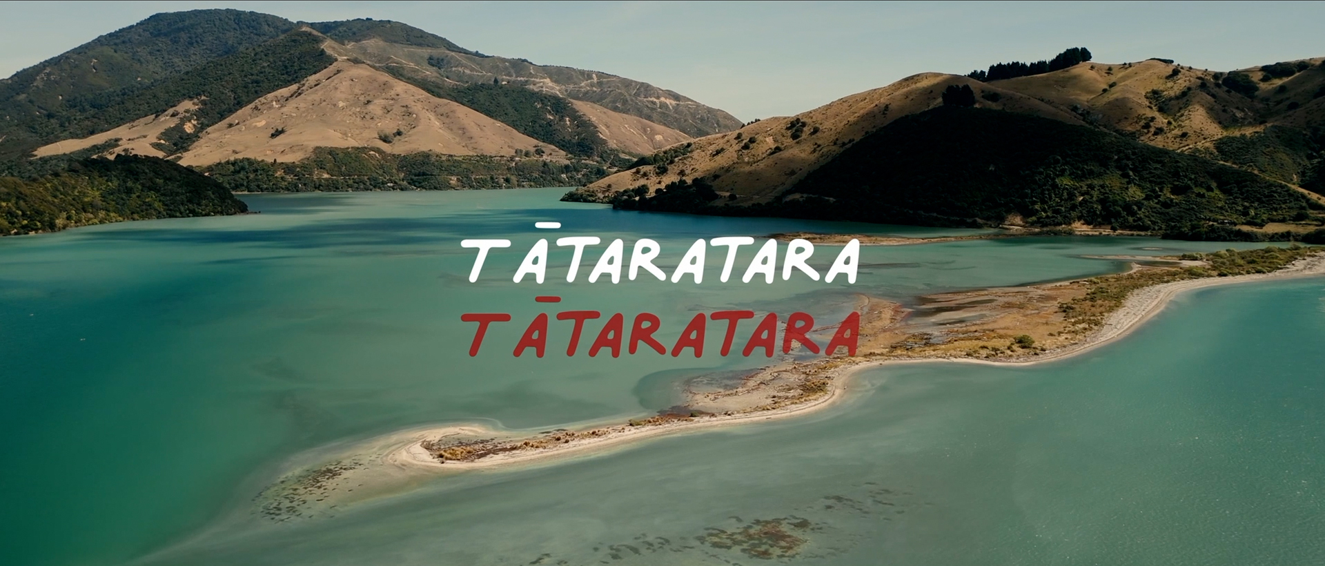 Hero image for Tātarakihi