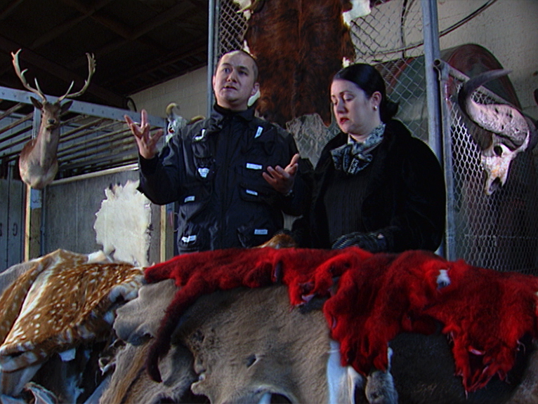 Hero image for Wella Fashion Report