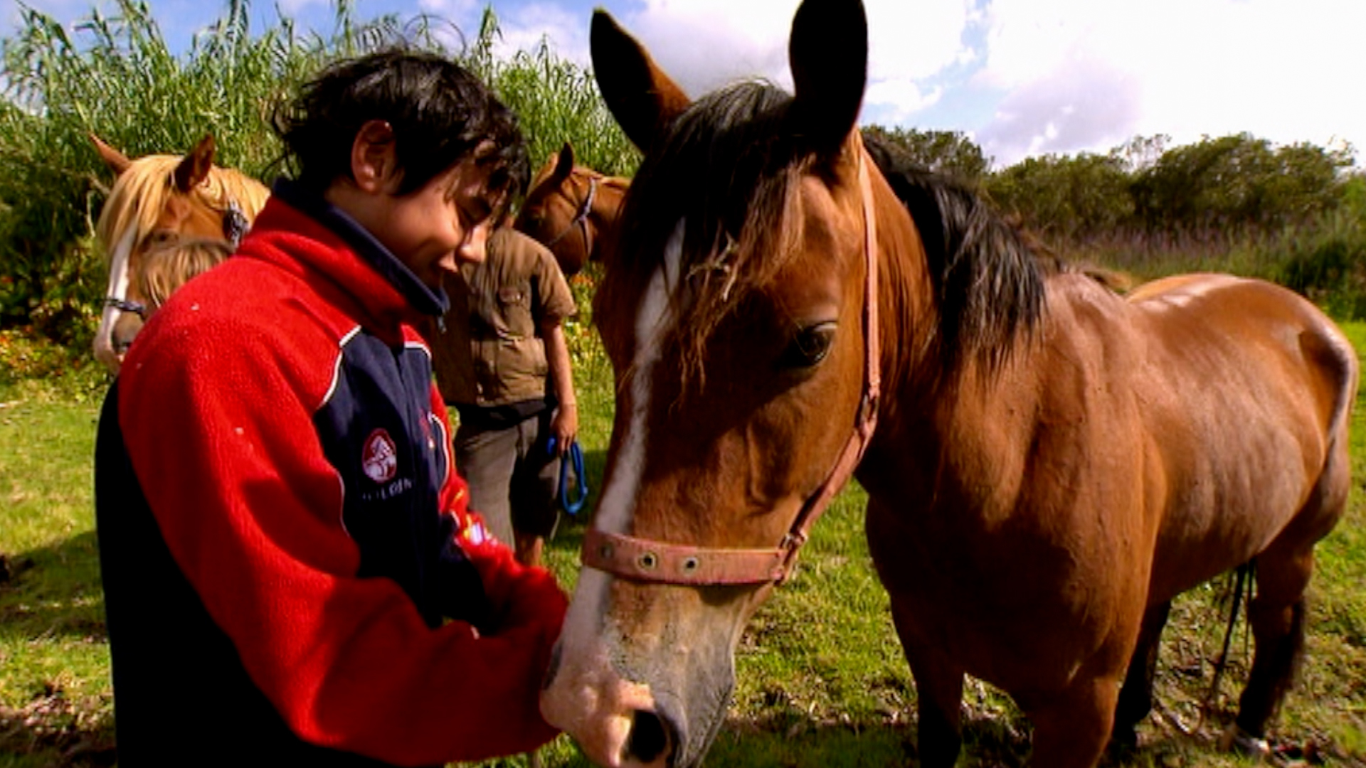 Hero image for Hōiho - Series One - "Best of" Episode