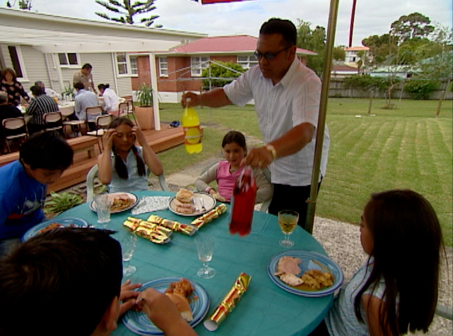 Hero image for Pine or Pōhutukawa