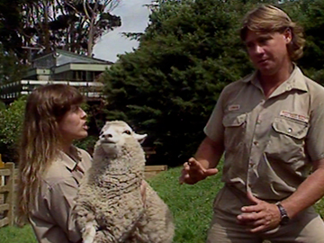 Image for The Mad Mad World of Television - Series One, Episode One