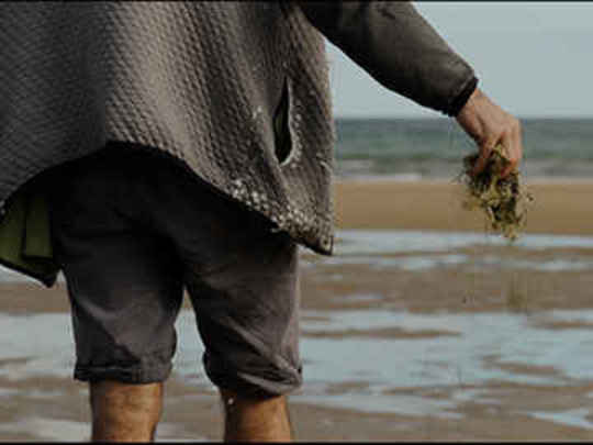 Thumbnail image for Loading Docs 2024 - Mauri Moana